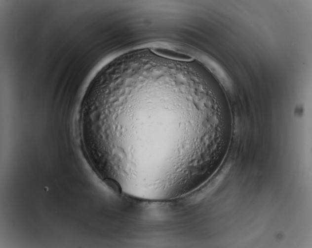 X0000103500808200809121737