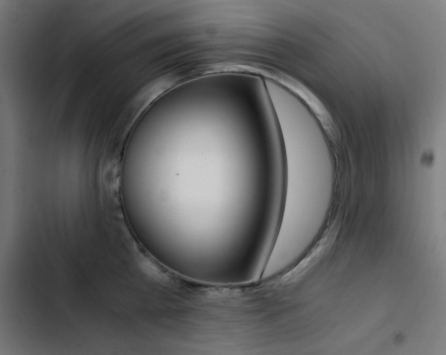 X0000103500809200809121737