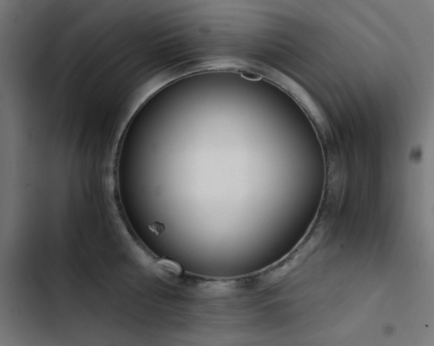 X0000103500810200809121737