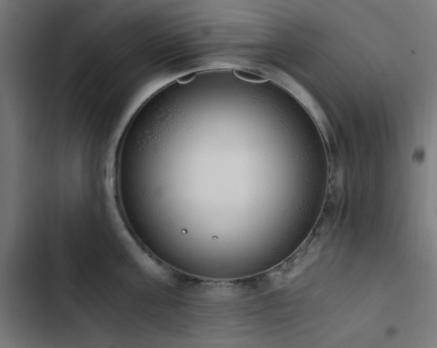 X0000103500811200809121737