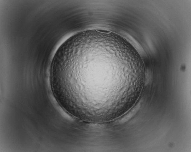 X0000103500812200809121737