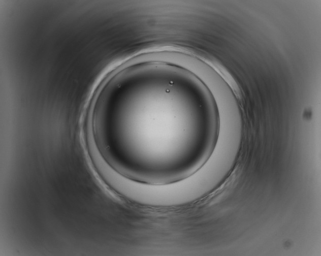 X0000103500813200809121737