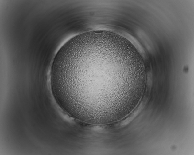 X0000103500814200809121737