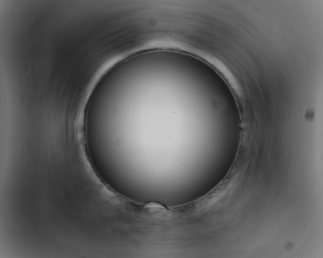 X0000103500815200809121737