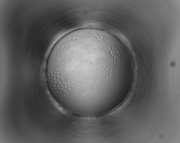 X0000103500816200809121737