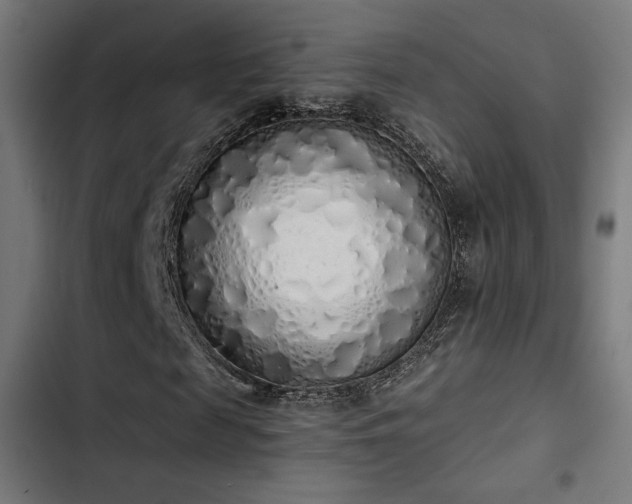 X0000103500817200809121736