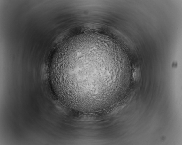 X0000103500819200809121736