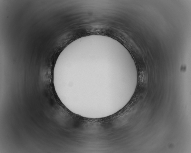 X0000103500820200809121736