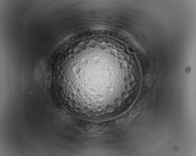 X0000103500821200809121736