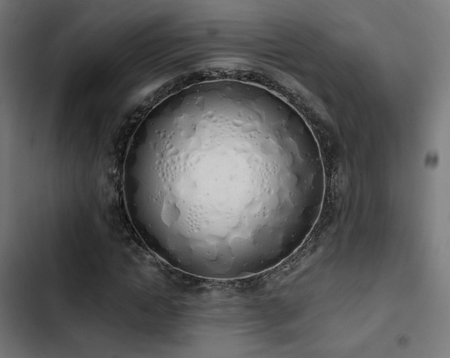 X0000103500822200809121736