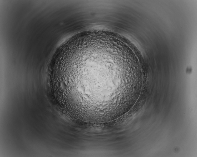 X0000103500823200809121736