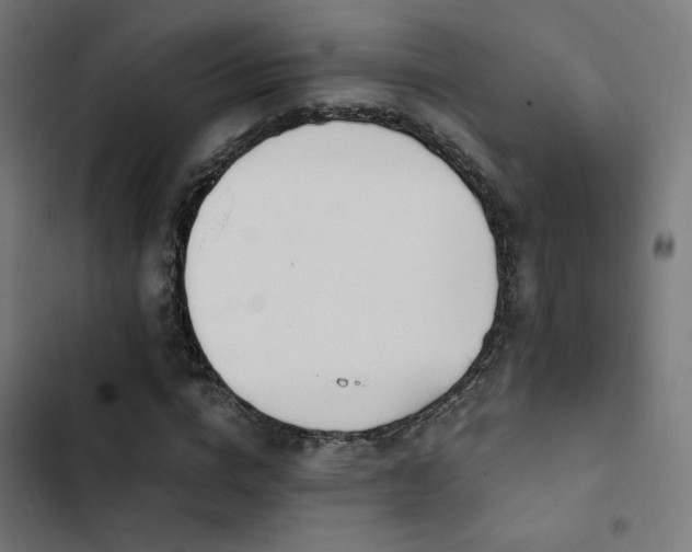 X0000103500824200809121736