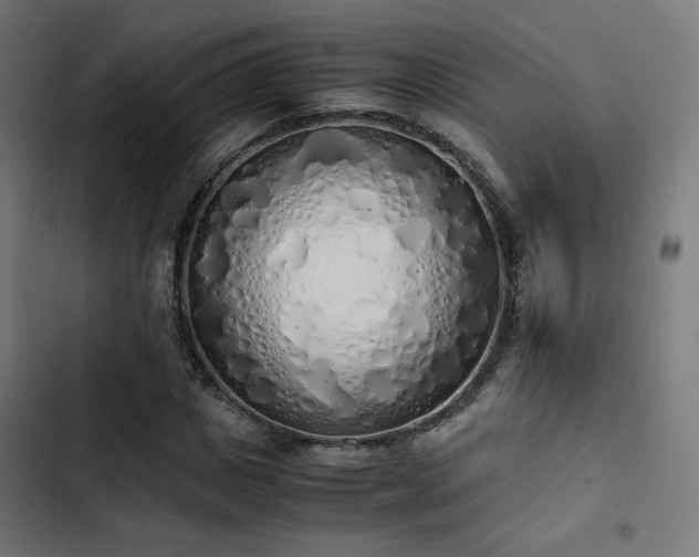 X0000103500825200809121736