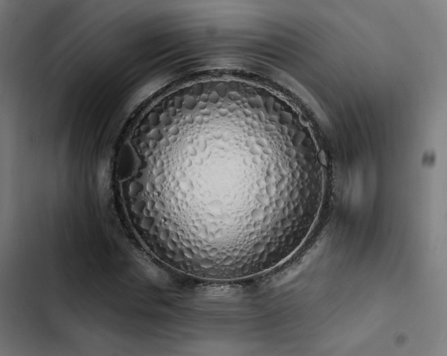 X0000103500826200809121736