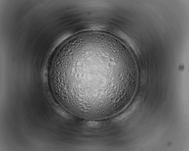 X0000103500827200809121736