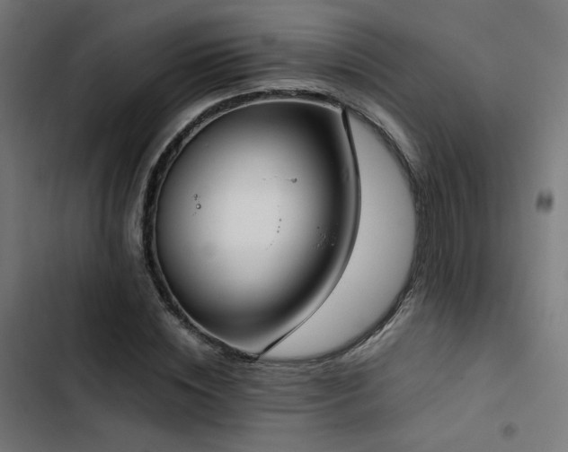 X0000103500828200809121736