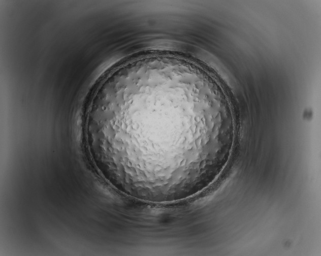 X0000103500829200809121736