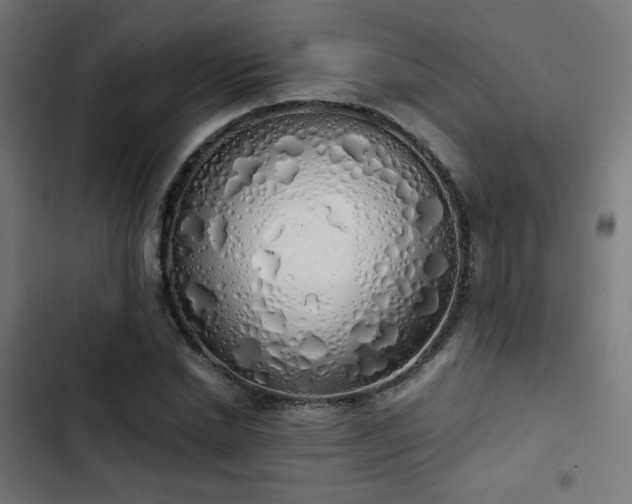 X0000103500830200809121736