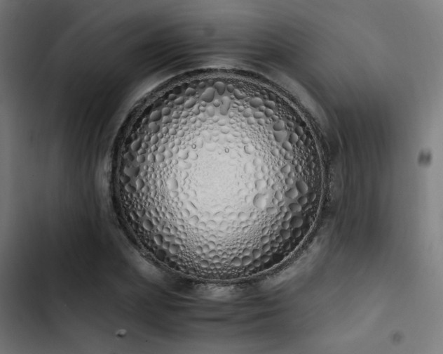 X0000103500831200809121737