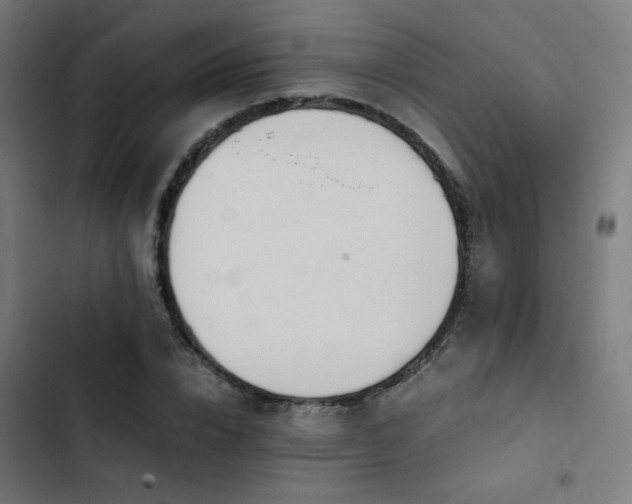 X0000103500832200809121737