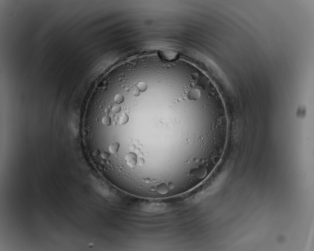 X0000103500833200809121737