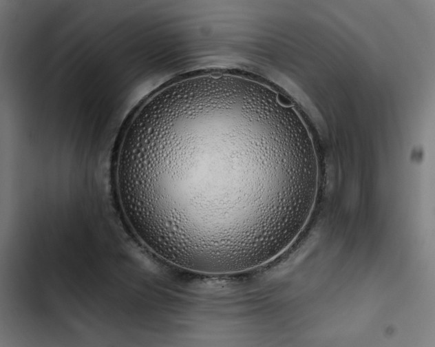 X0000103500834200809121737