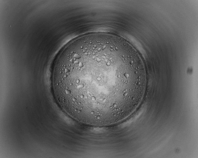 X0000103500835200809121737