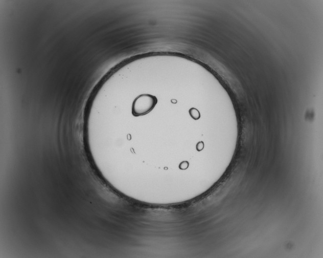 X0000103500836200809121737