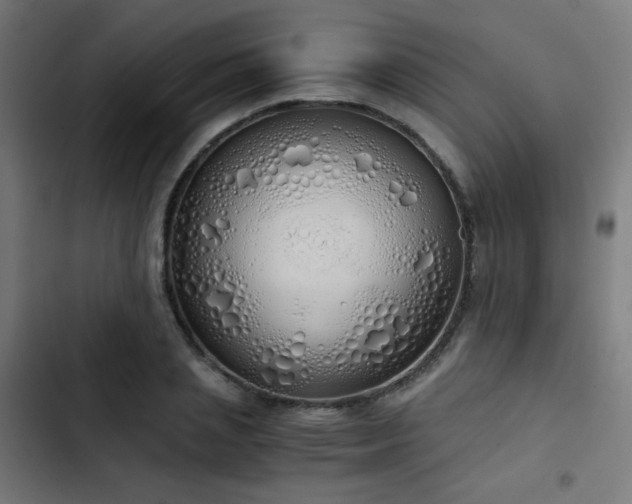 X0000103500837200809121737