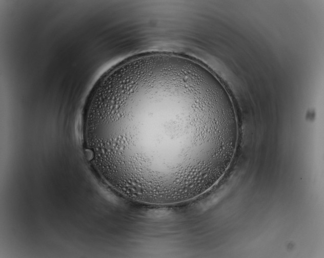 X0000103500838200809121737