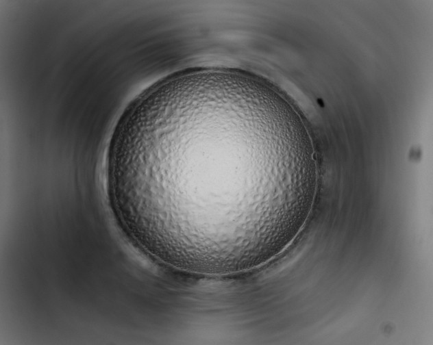 X0000103500840200809121737