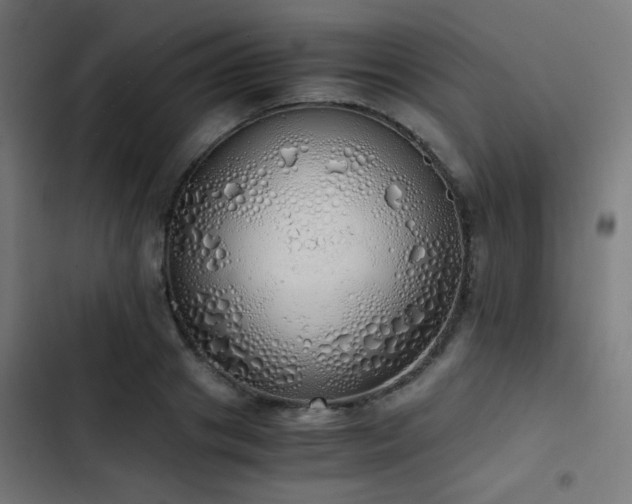 X0000103500841200809121737