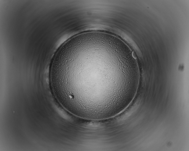 X0000103500842200809121737