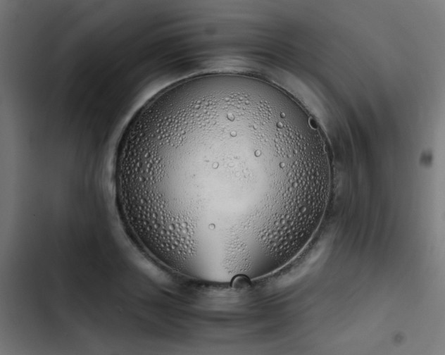 X0000103500843200809121737