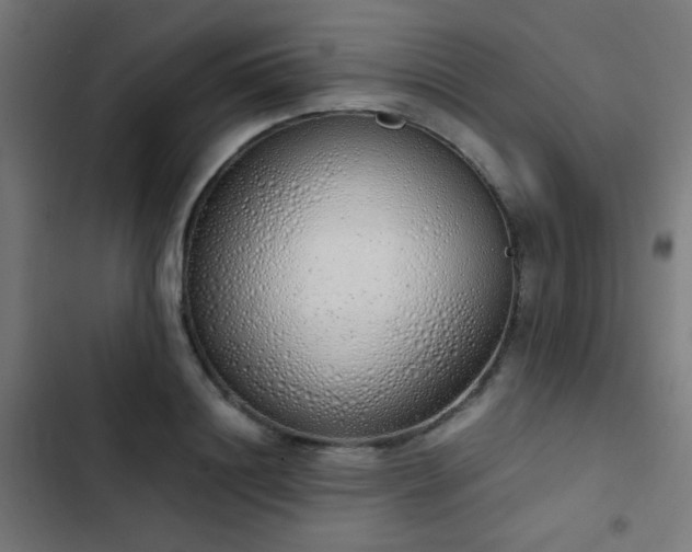 X0000103500844200809121737