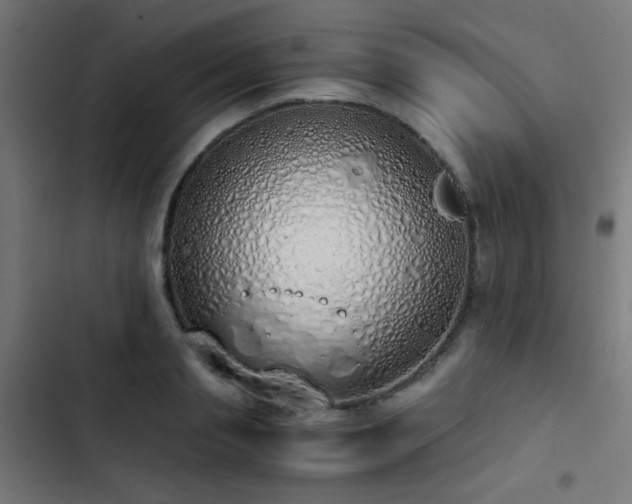 X0000103500845200809121737