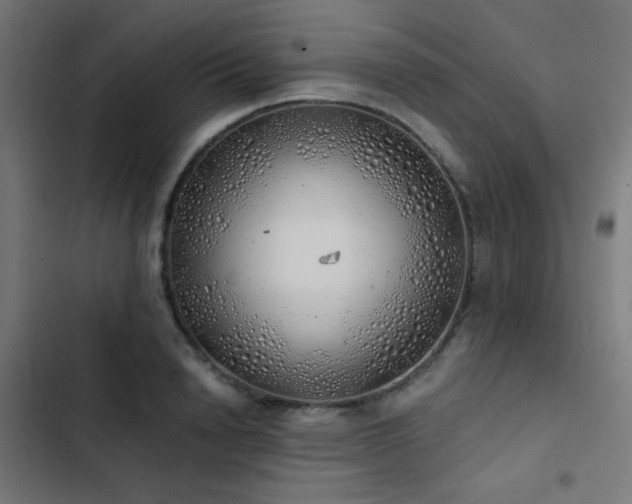 X0000103500846200809121737