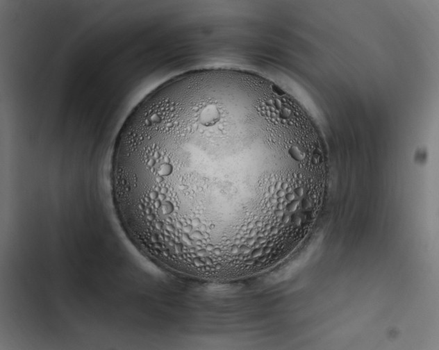 X0000103500847200809121737