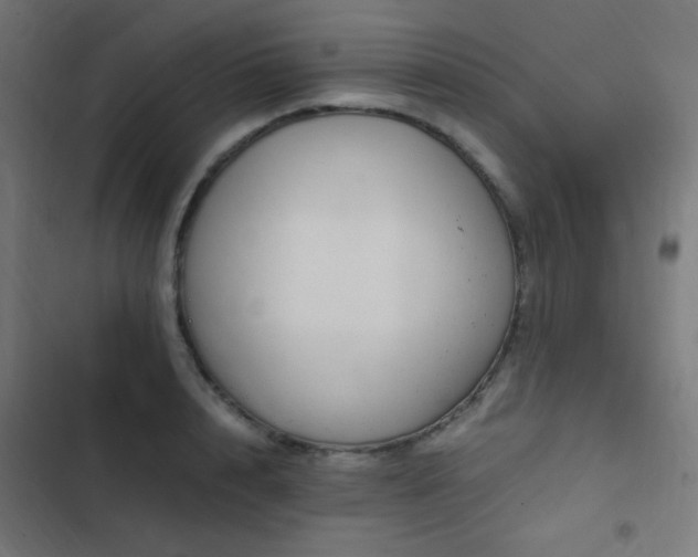 X0000103500848200809121737