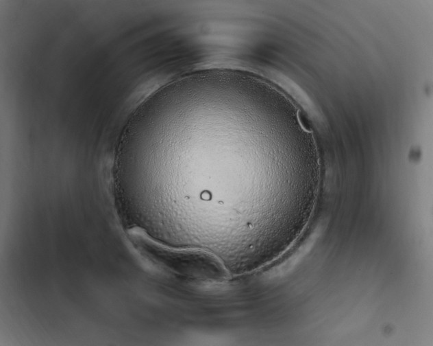 X0000103500849200809121737