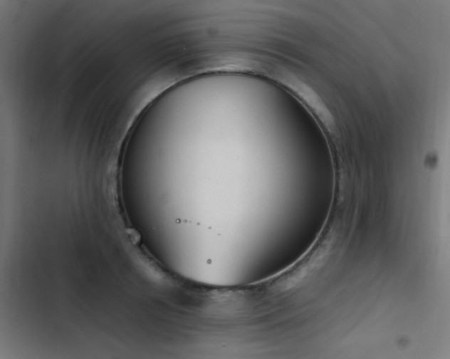 X0000103500850200809121737