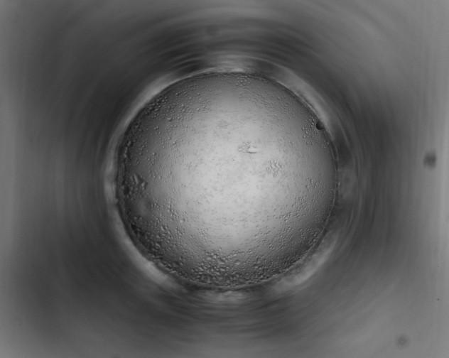 X0000103500851200809121737