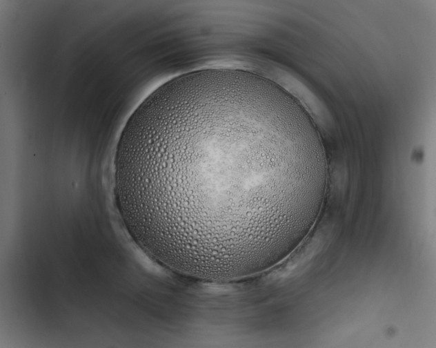 X0000103500852200809121737