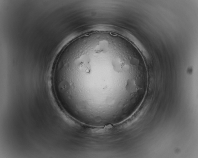 X0000103500853200809121737