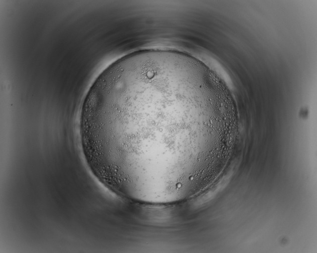 X0000103500855200809121737