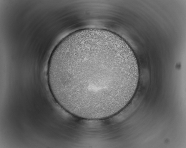 X0000103500856200809121737