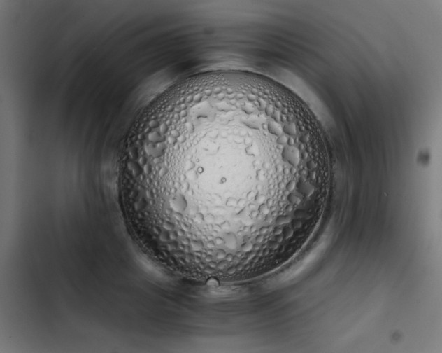 X0000103500857200809121737