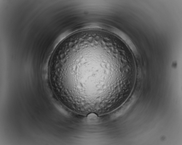 X0000103500858200809121737