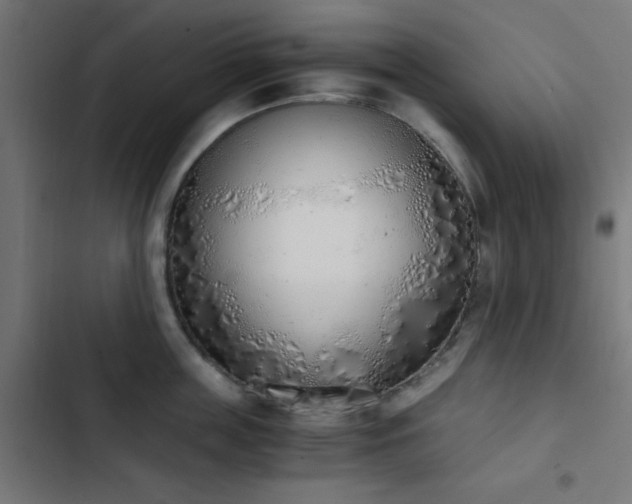 X0000103500859200809121737