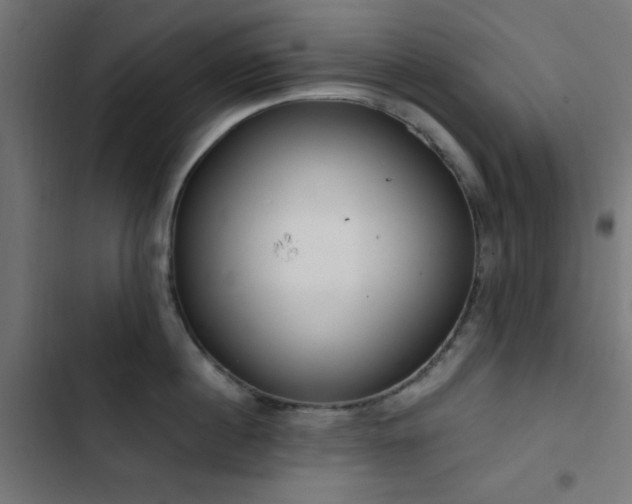 X0000103500860200809121737